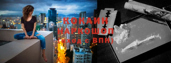 прущие грибы Бородино
