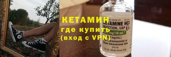 прущие грибы Бородино