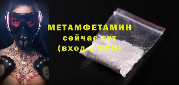 индика Бронницы