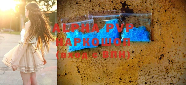 индика Бугульма