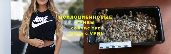 индика Бронницы