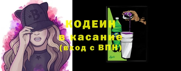 индика Бронницы