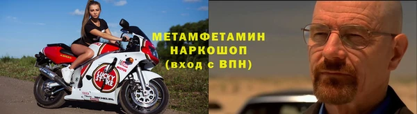 прущие грибы Бородино