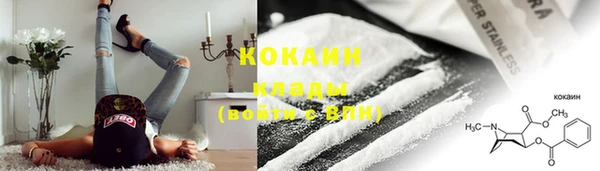 прущие грибы Бородино