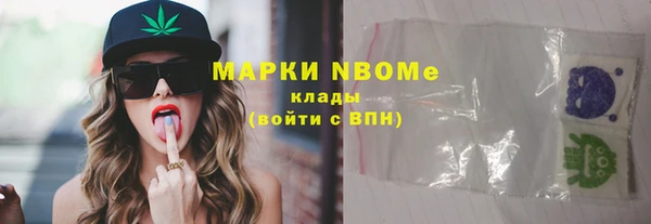индика Бугульма