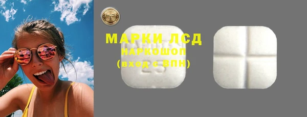 индика Бронницы