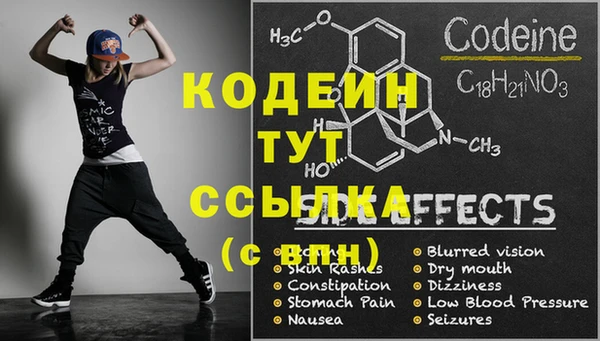 прущие грибы Бородино