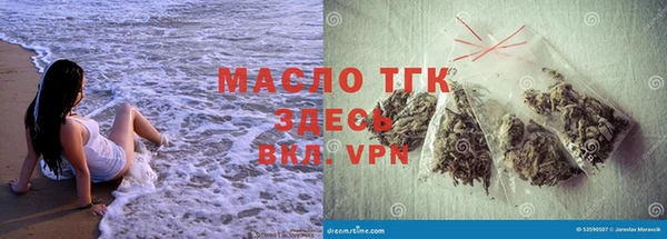 индика Бронницы