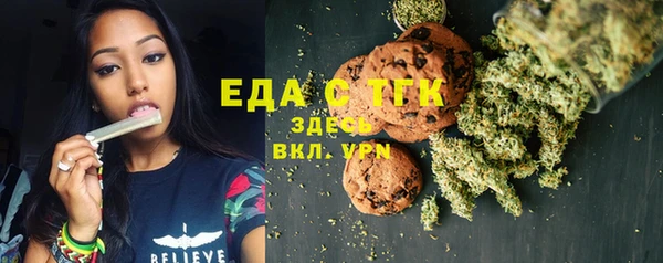 индика Бронницы
