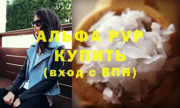 прущие грибы Бородино