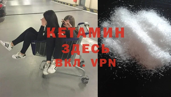 индика Бронницы