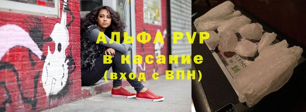 индика Бронницы