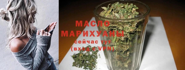 индика Бронницы