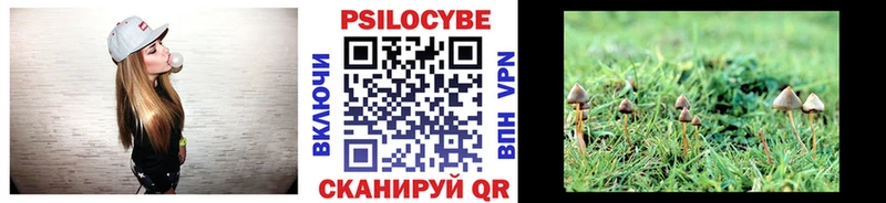 Галлюциногенные грибы Magic Shrooms Купить закладки Мезень